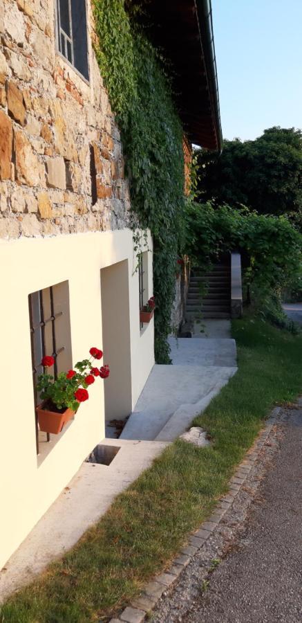Villa Katarina Branik Exterior foto